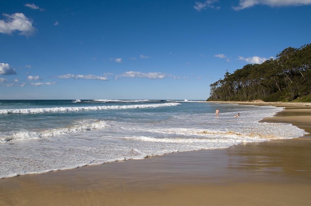 Dolphins Of Mollymook Motel Екстер'єр фото